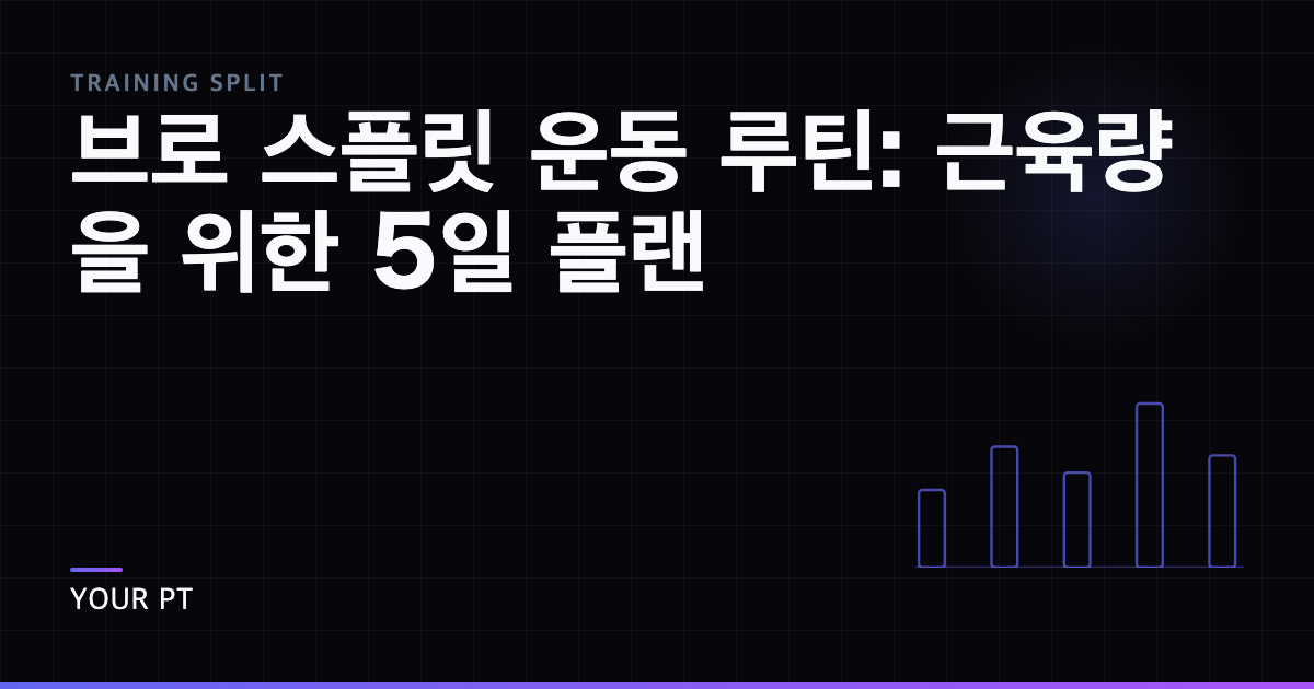 브로 스플릿 운동 루틴: 근육량을 위한 5일 플랜