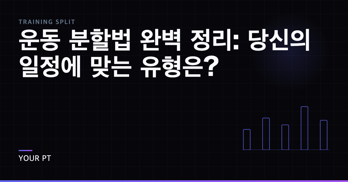 운동 분할법 완벽 정리: 당신의 일정에 맞는 유형은?